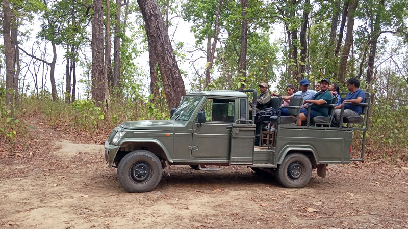 Jeep Safari tour - Bardia National Park