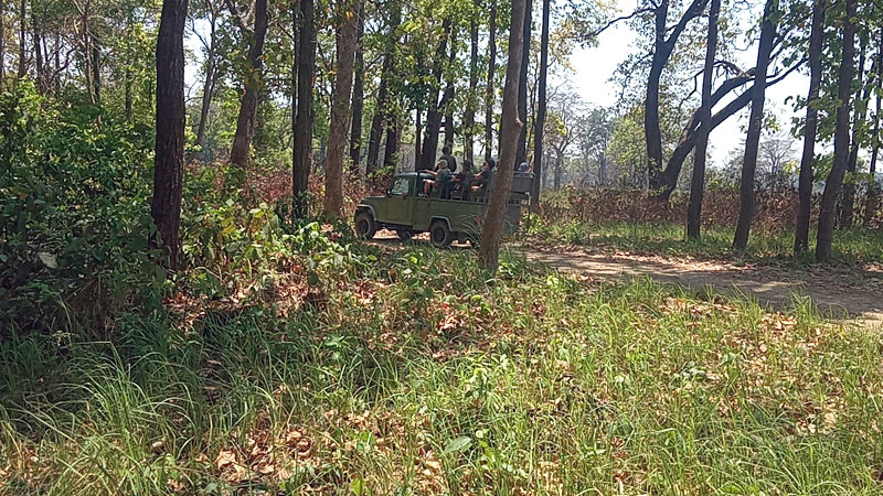 Jeep Safari tour - Bardia National Park