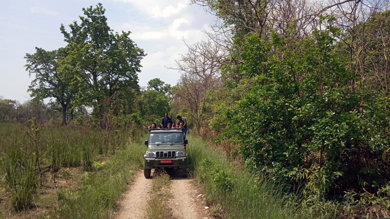 Jeep Safari tour - Bardia National Park