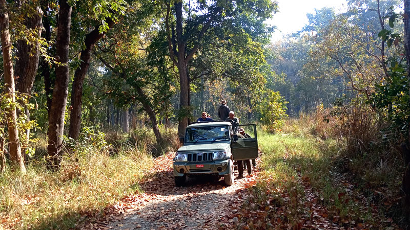 Jeep Safari tour - Bardia National Park