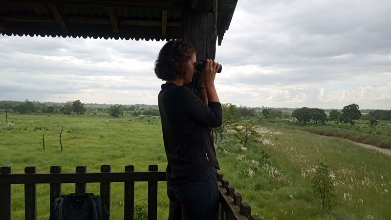 View from Machan (View Tower)